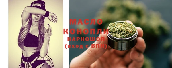 гашик Богородицк