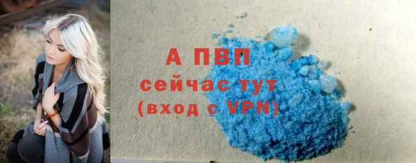 ECSTASY Богородск
