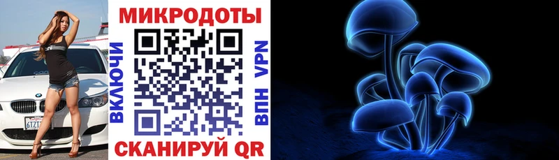 Псилоцибиновые грибы MAGIC MUSHROOMS  KRAKEN сайт  Новоуральск 